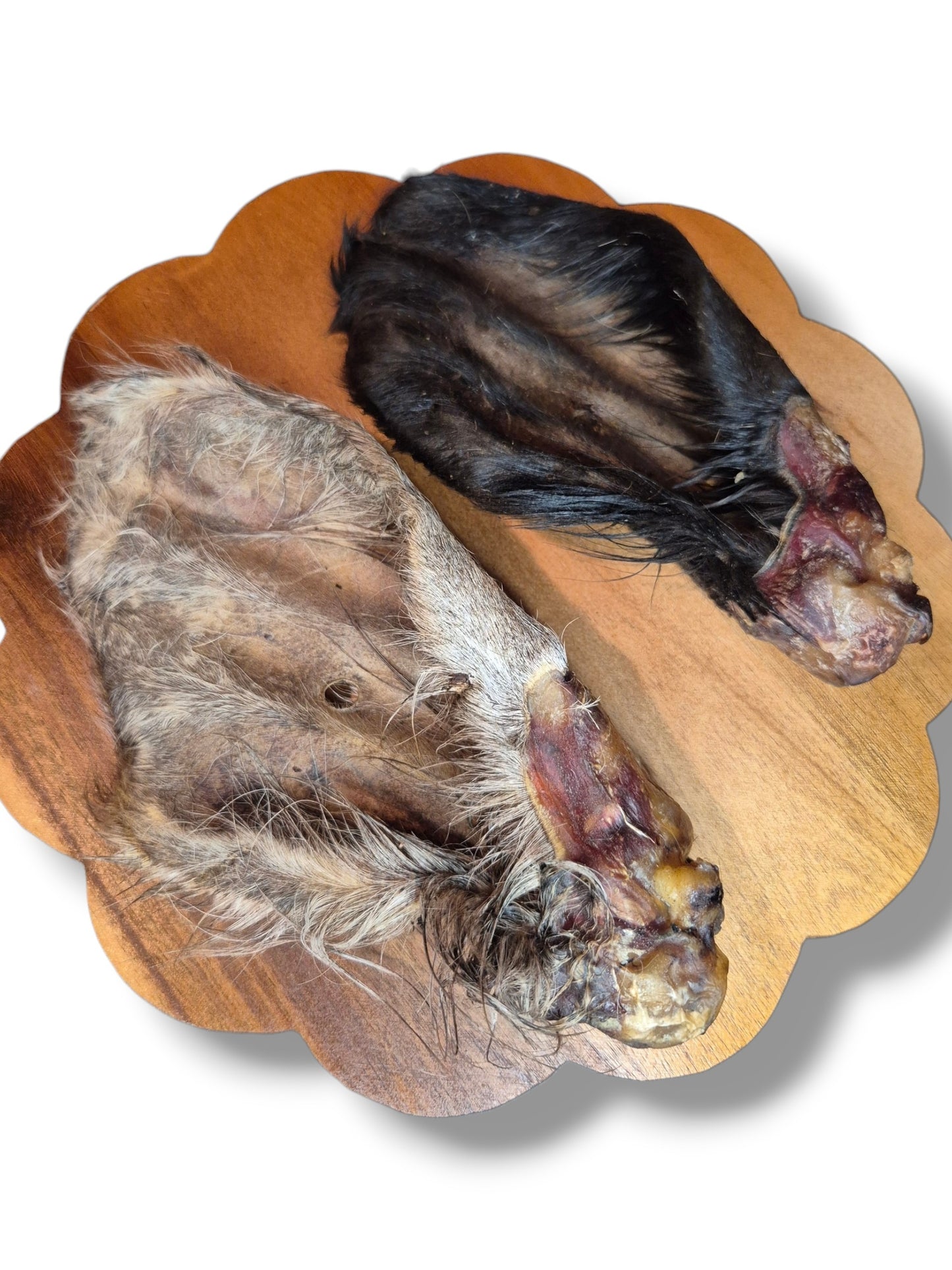 Oreille de bœuf avec poil – friandise à mâcher longue durée pour chien