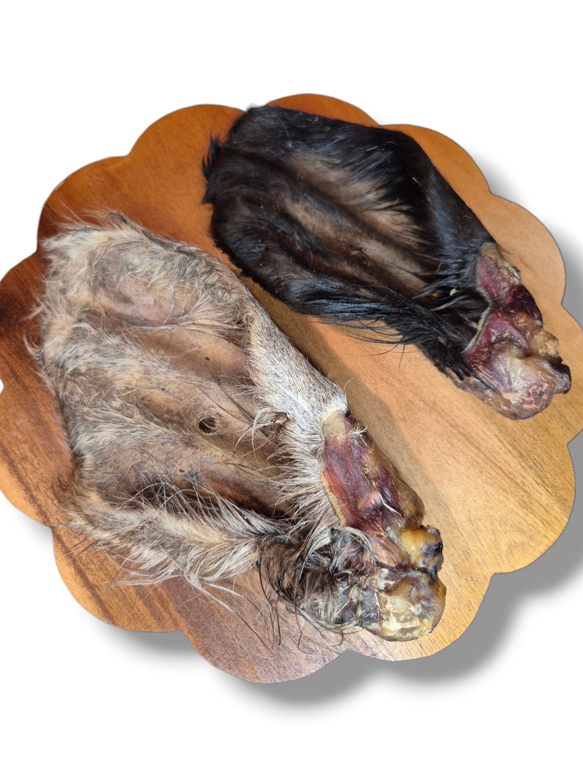 Oreille de bœuf avec poil – friandise à mâcher longue durée pour chien