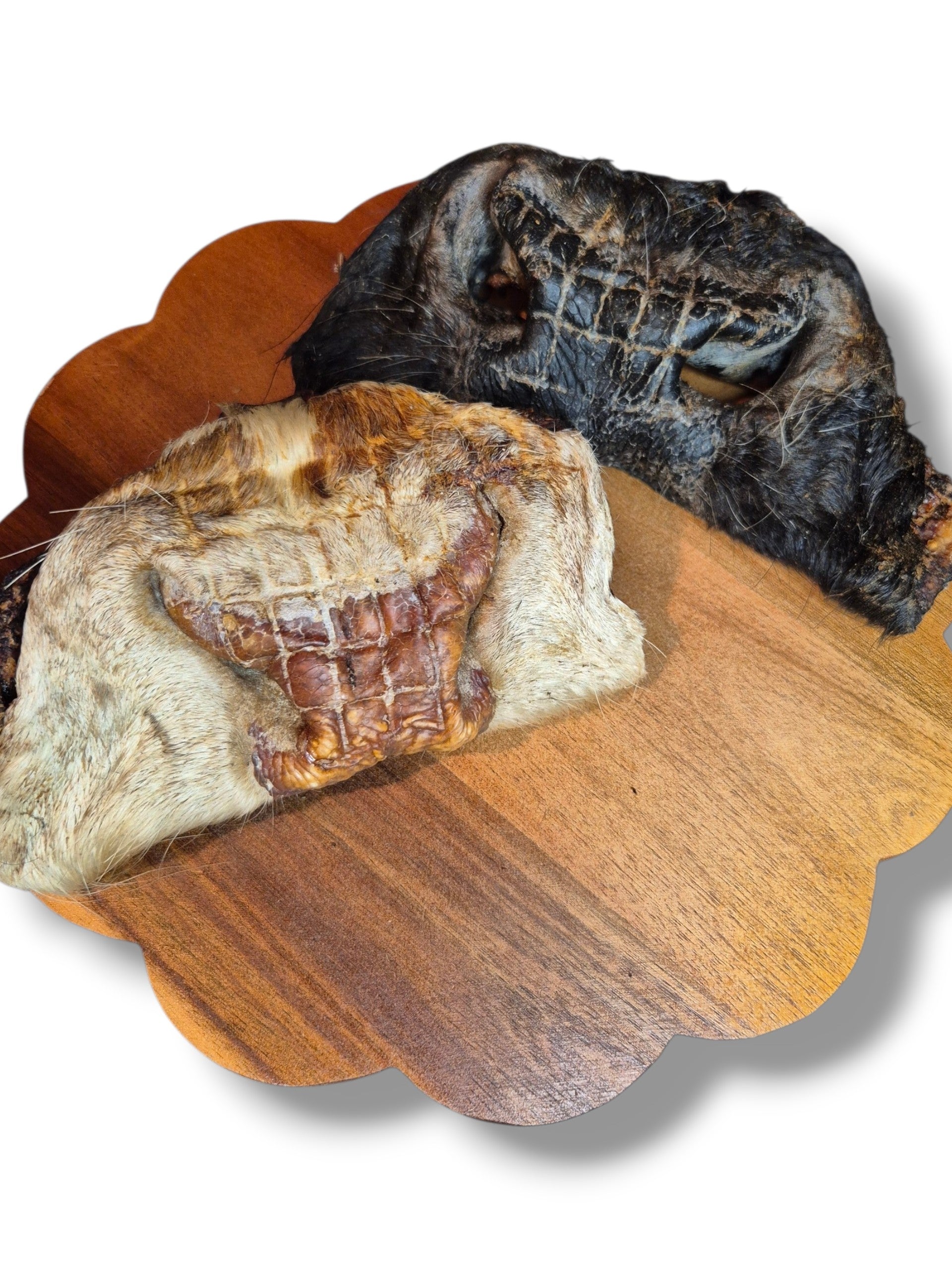 Museau de bœuf avec poil – friandise à mâcher longue durée pour chien