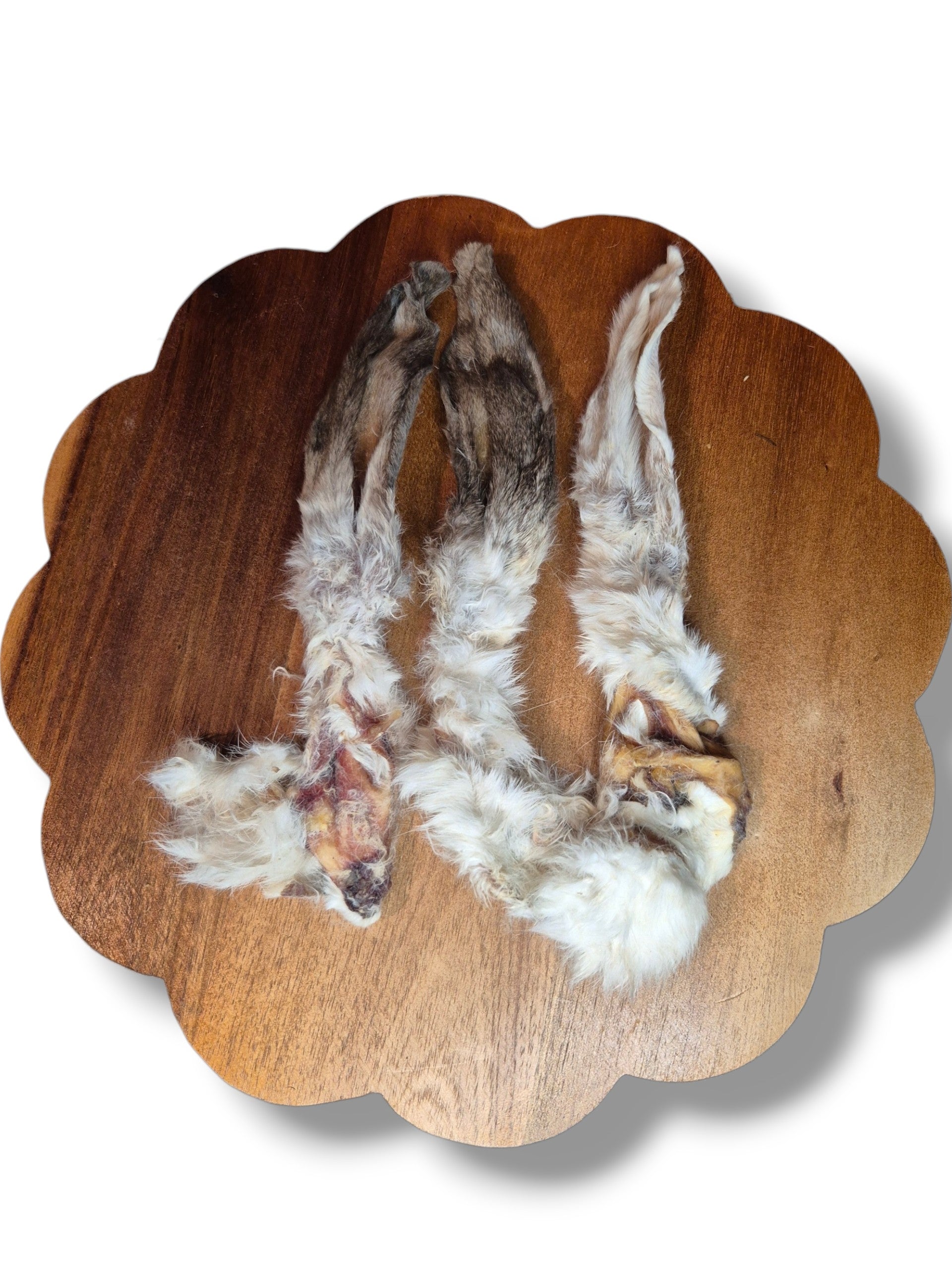 Oreille de lapin séchée avec poil – friandise légère et croustillante pour chien