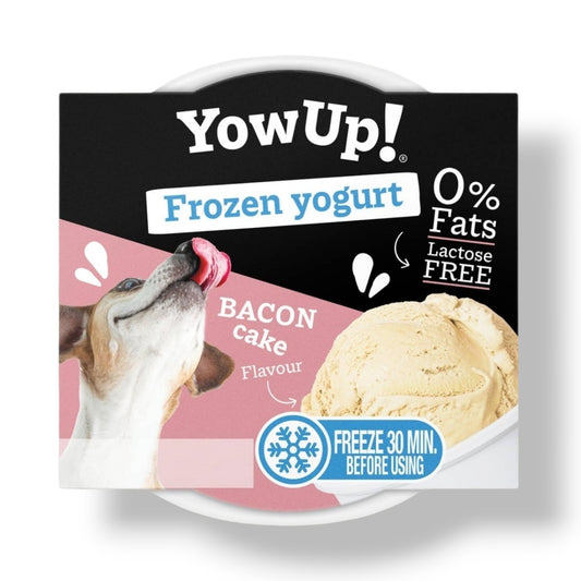 YowUp! - Yaourt glacé